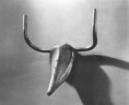 /album/galeria-de-fotos/bull-1-jpg/